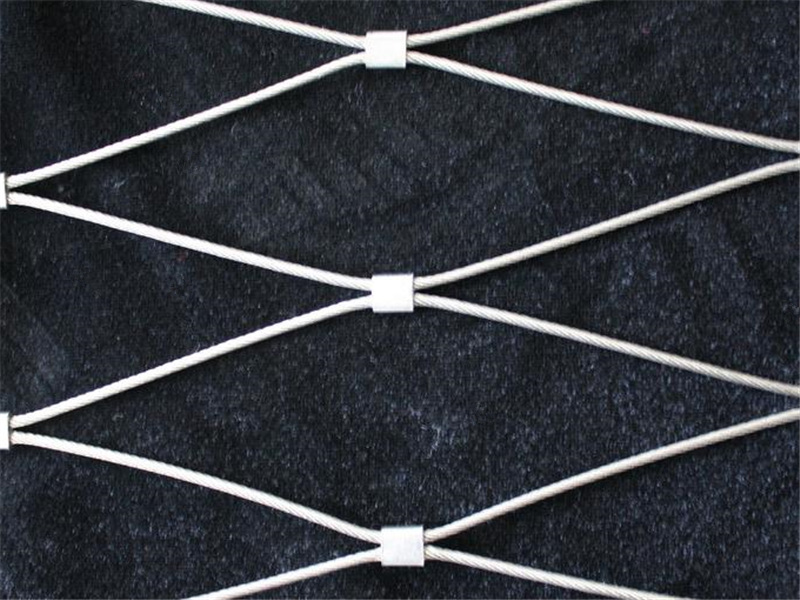 1552544387425808.jpg 不鏽鋼繩絲網.JPG